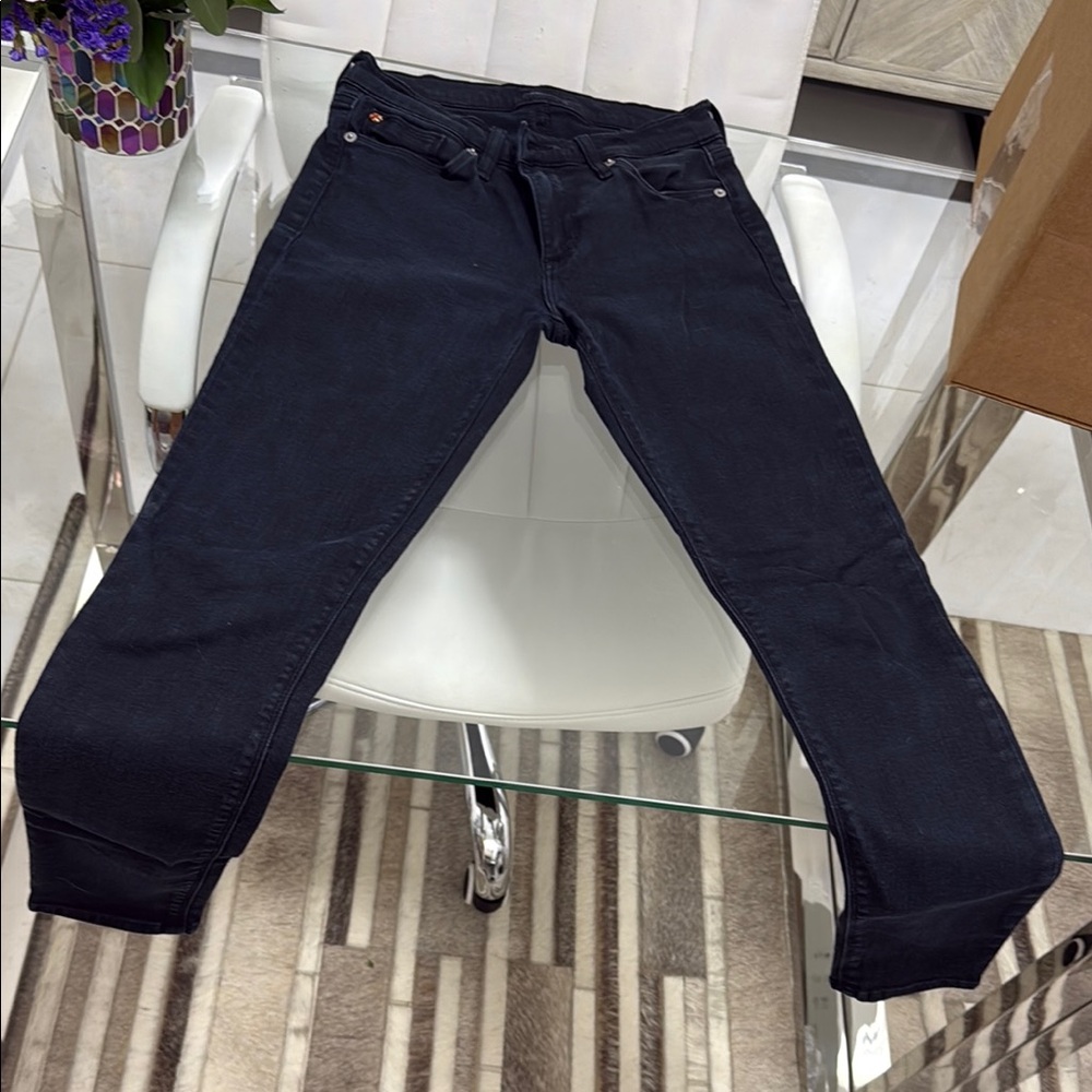 Hudson Jeans Black Skinny Jeans